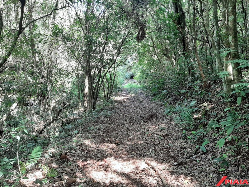 Lote rural- 10 hectares- Linha Braguinha