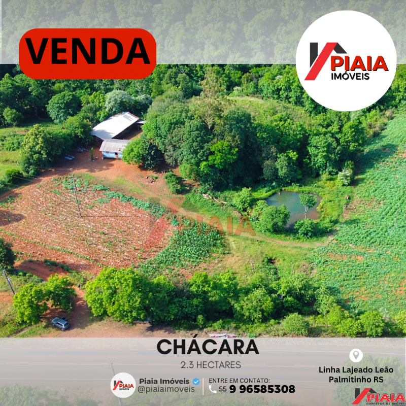 CHÁCARA 2,3 HECTARES (80% MECANIZADA)
