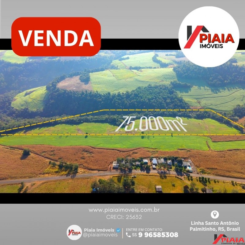 ÁREA AGRÍCOLA À VENDA – 75.000m²/ 5.5 HA MECANIZADA