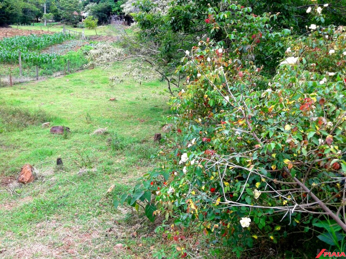 Excelente Lote Urbano